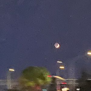 Meet your Posher, Sophia